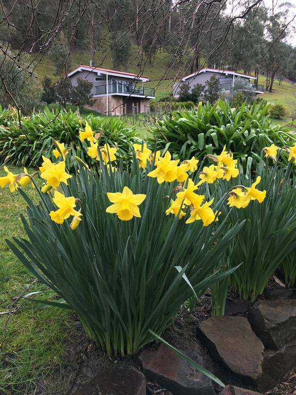 Araluen Boutique Accommodation Yarra Glen Exterior photo